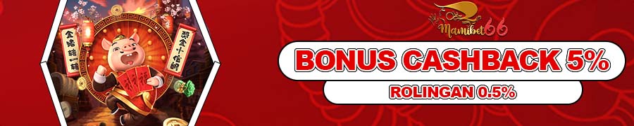 BONUS CASHBACK